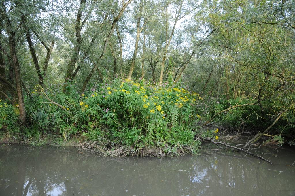 De Brabantse Biesbosch Ξενοδοχείο Werkendam Εξωτερικό φωτογραφία
