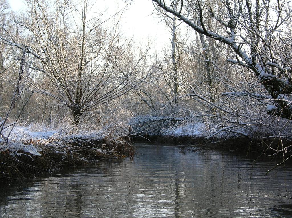 De Brabantse Biesbosch Ξενοδοχείο Werkendam Εξωτερικό φωτογραφία