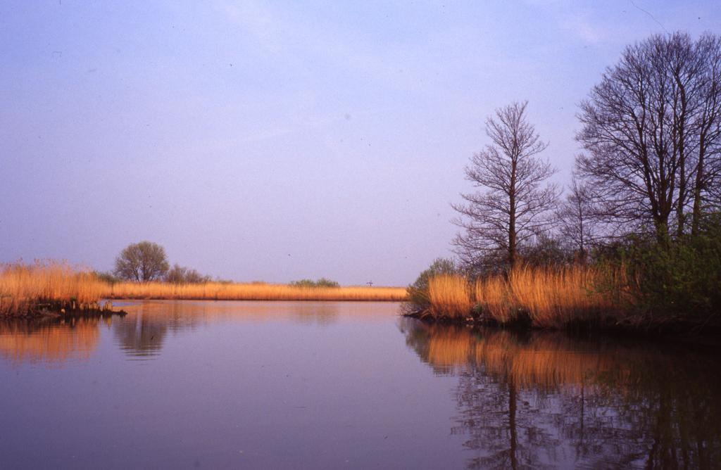 De Brabantse Biesbosch Ξενοδοχείο Werkendam Εξωτερικό φωτογραφία