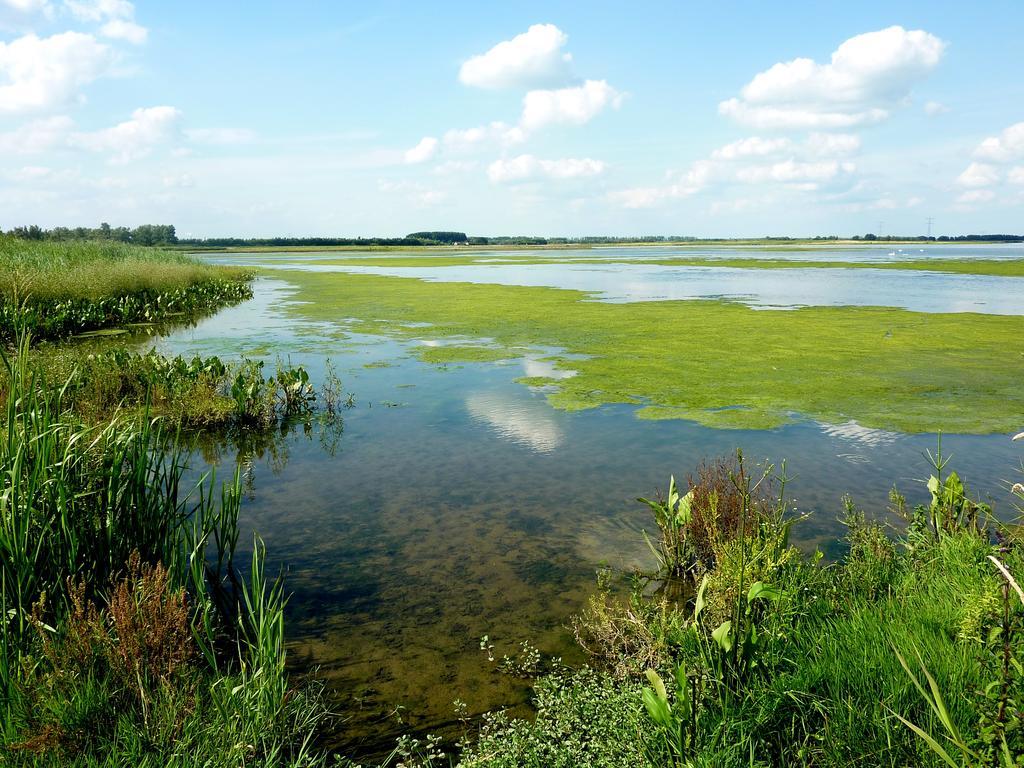De Brabantse Biesbosch Ξενοδοχείο Werkendam Εξωτερικό φωτογραφία