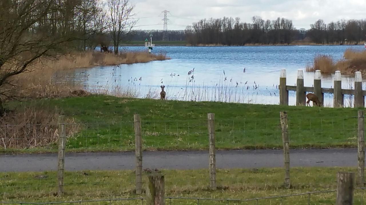 De Brabantse Biesbosch Ξενοδοχείο Werkendam Εξωτερικό φωτογραφία