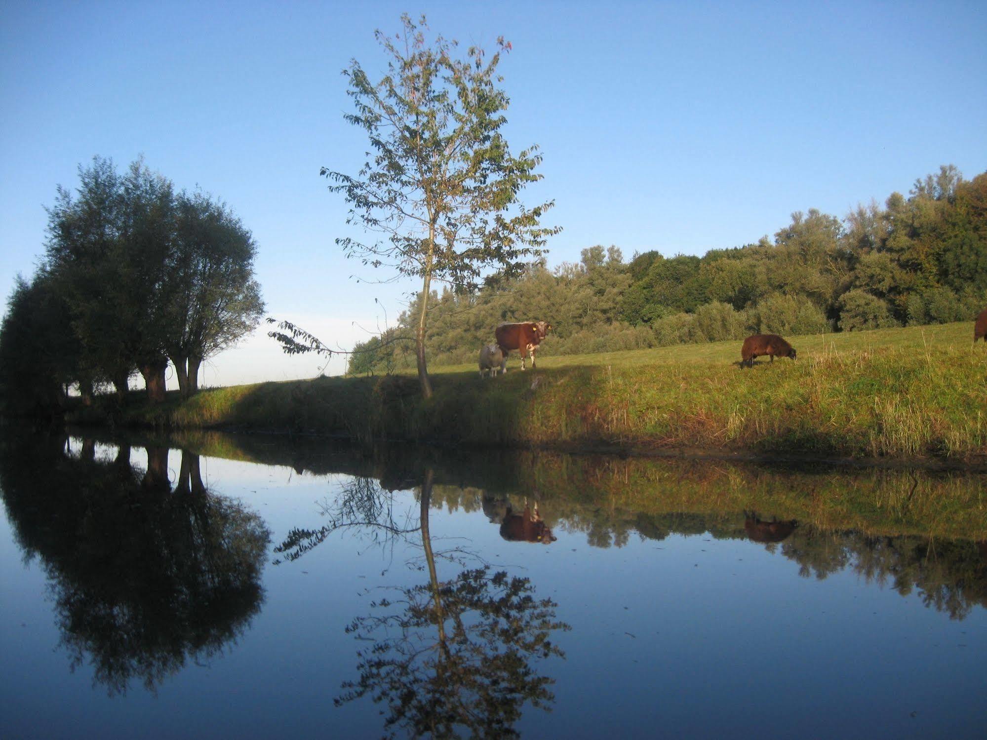De Brabantse Biesbosch Ξενοδοχείο Werkendam Εξωτερικό φωτογραφία