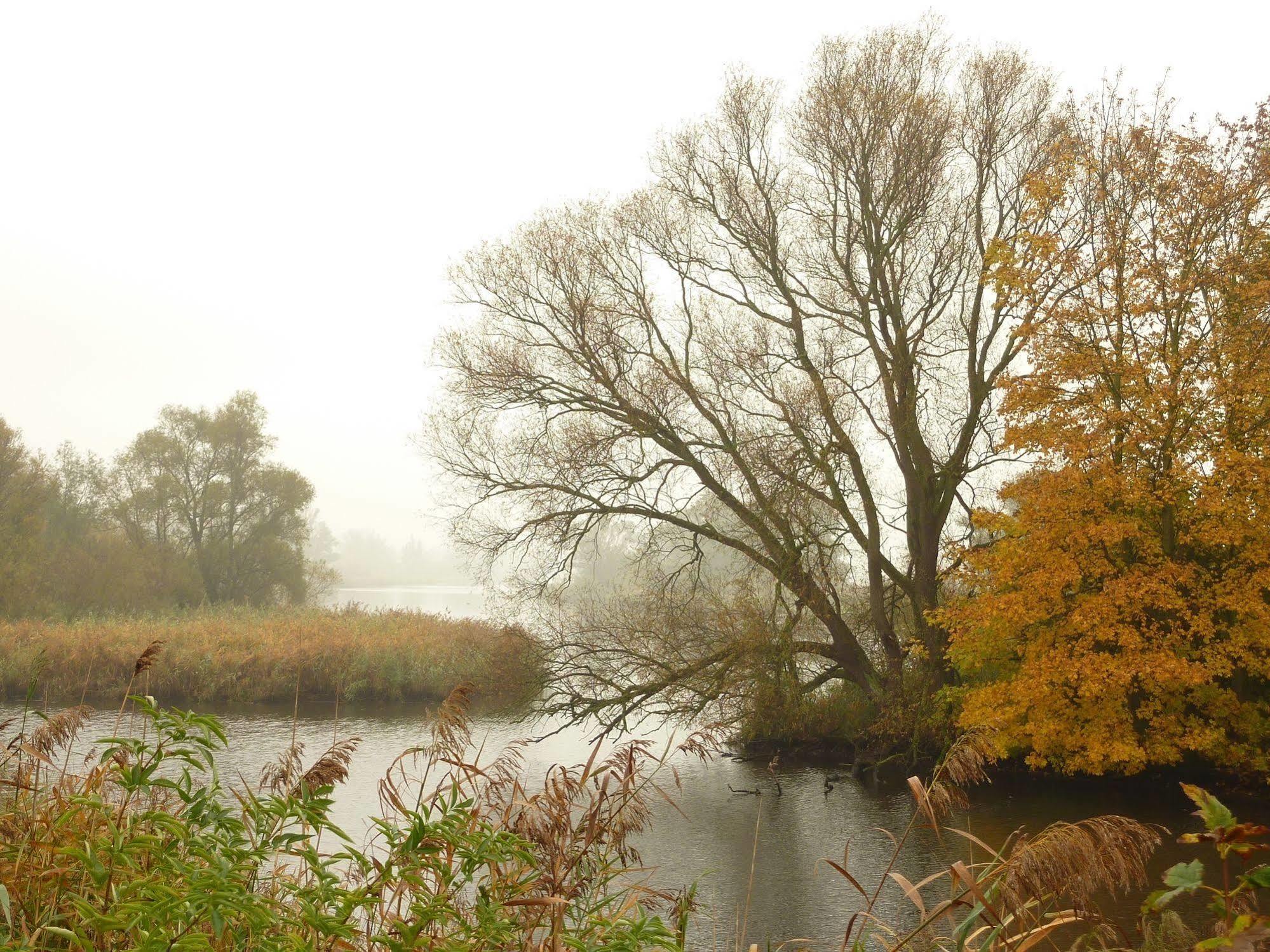 De Brabantse Biesbosch Ξενοδοχείο Werkendam Εξωτερικό φωτογραφία