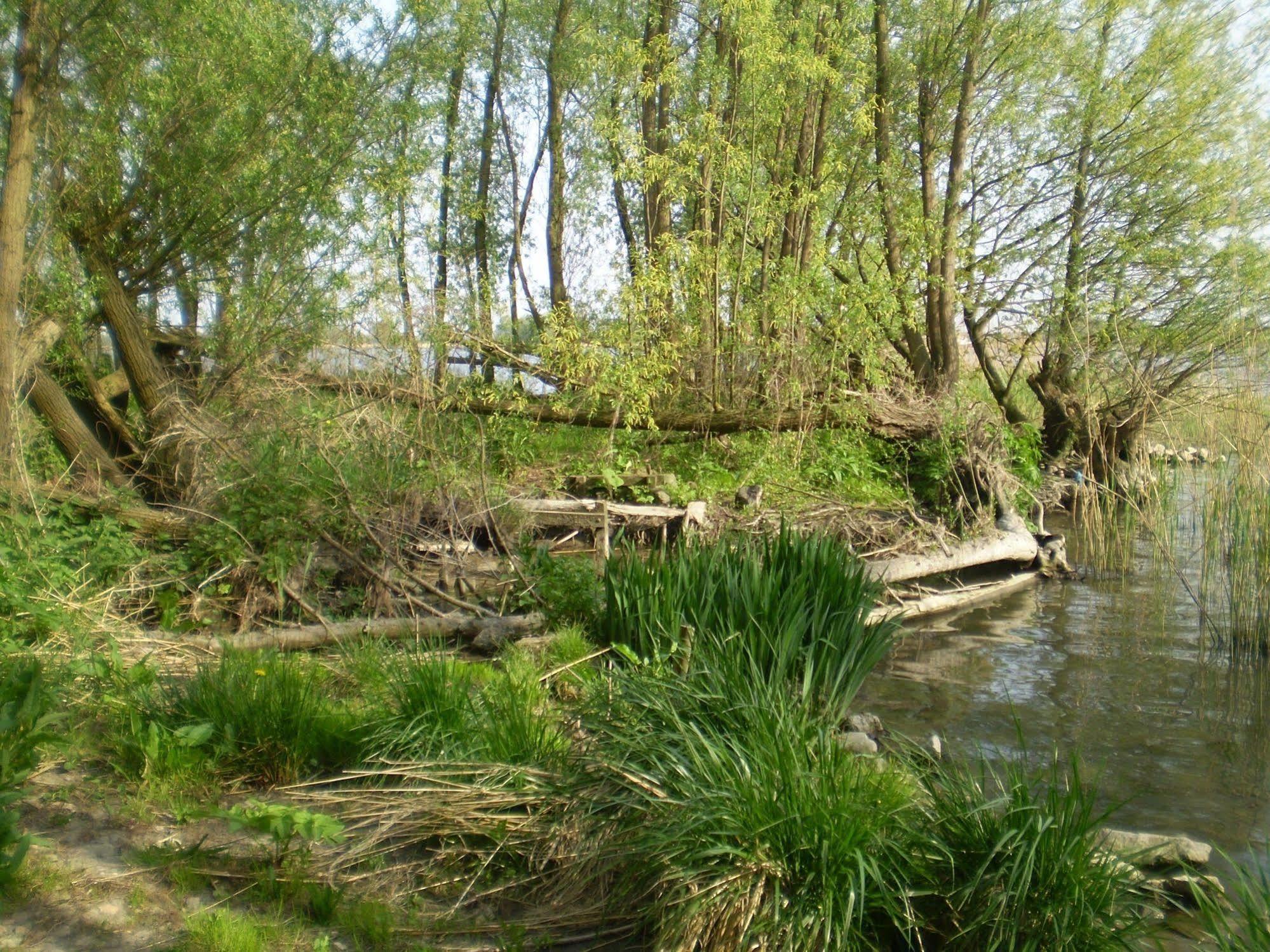 De Brabantse Biesbosch Ξενοδοχείο Werkendam Εξωτερικό φωτογραφία
